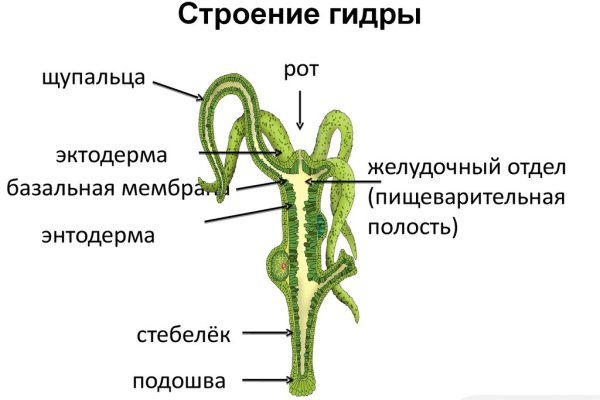 Мега онион торговая