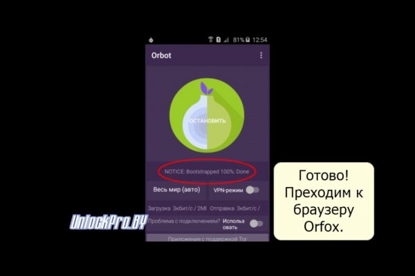 Рабочее зеркало omg omg для tor браузеров