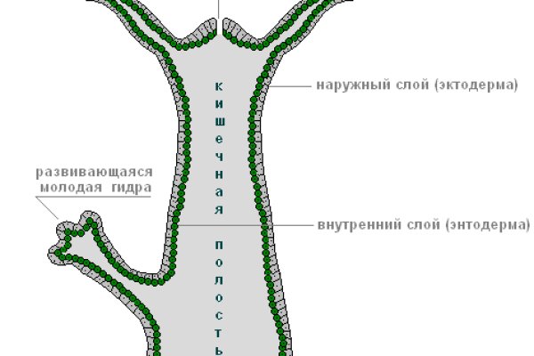 Как загрузить фото в мегу